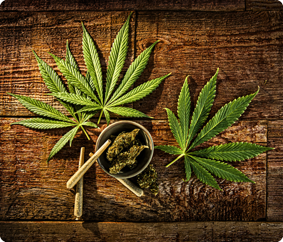 Dispensary interior or featured image